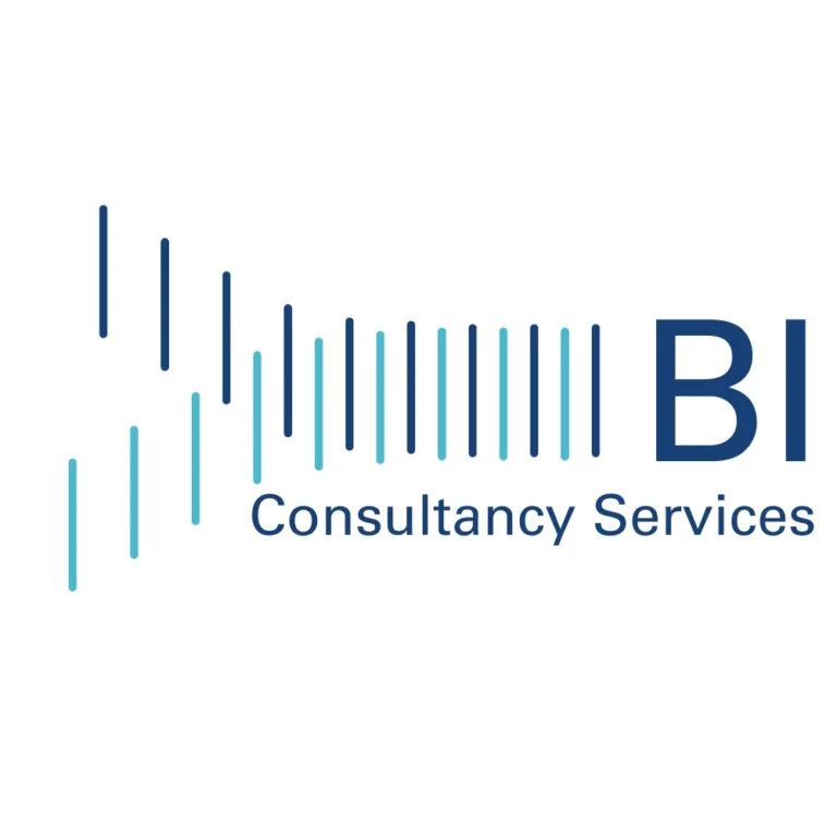 BI-Consultancy Services